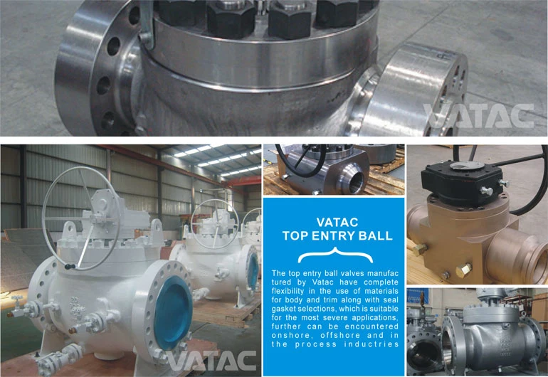 Double Block and Bleed (DBB) Top Entry Ball Valve