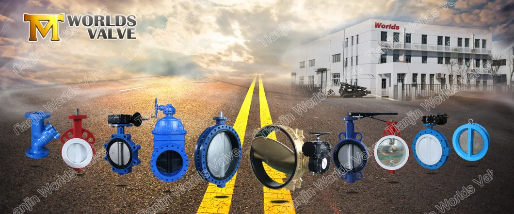 Resilient Seated Concentric Type Ductile Cast Iron Industrial Control Wafer Lug Butterfly Valves with EPDM PTFE PFA Rubber Lining API/ANSI/DIN/JIS/ASME/Awwa