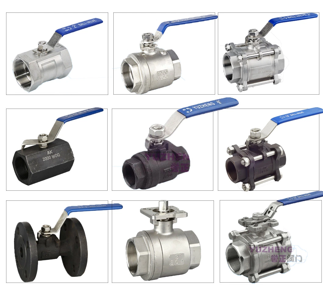 Stainless Steel Ball Valve 2PC Ss Threaded Industrial Valves with Optional Mounting Pad Float Valve