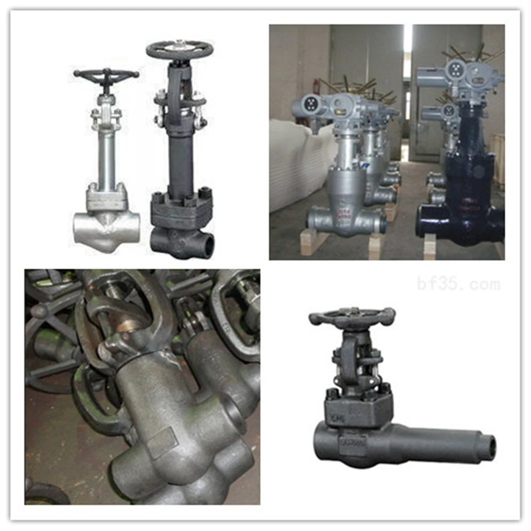 3/4&quot; Forged Carbon Steel A105n/Lf2 Bolted Bonnet Integrated Flanged Ends Gate Valve /Globe Valve/Check Valve 800lb