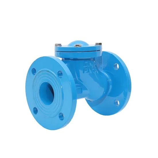 Hc44X Rubber Disc Swing Check Valve 