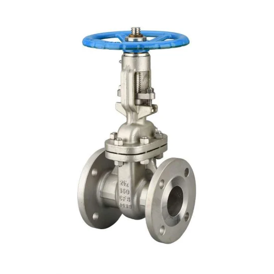 API 6flange 6D Forged Steel Dbb Stainless Steel F304 F316 Ball Valve Ss