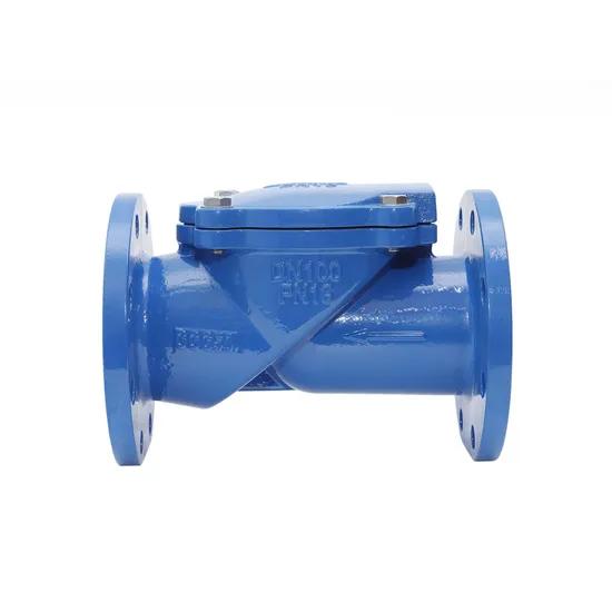 Swing Check Valve 