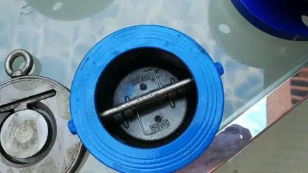 Butterfly Type Stop Check Valve Wafer 316/304 Strainless Steel Ss/Cast Iron Disc Dual Plate 