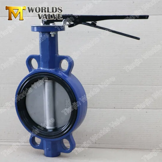 Resilient Seated Concentric Type Ductile Cast Iron Industrial Control Wafer Lug Butterfly Valves with EPDM PTFE PFA Rubber Lining API/ANSI/DIN/JIS/ASME/Awwa