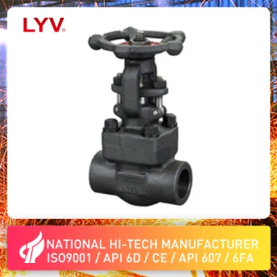 DN 15 to DN 50 Forged Steel A105 Socket Weld Flanged Gate Valve/Globe Valve/Check Valve